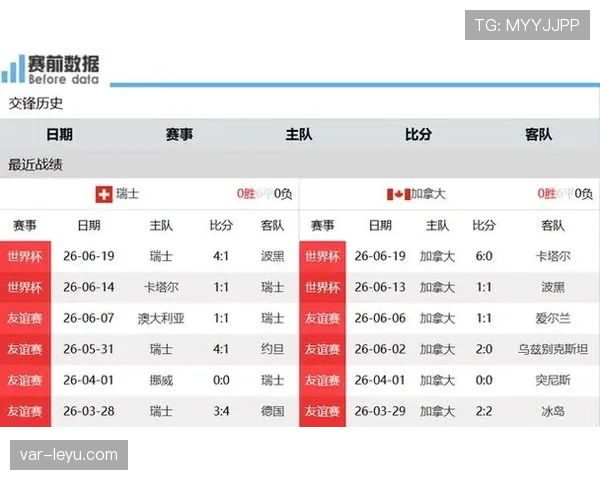 世界杯B组波黑表现回顾：一胜一平一负拿到4分